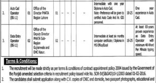 Regional Directorate Punjab Housing And Town Planning jobs